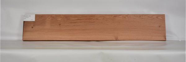ROSEAF1196_2