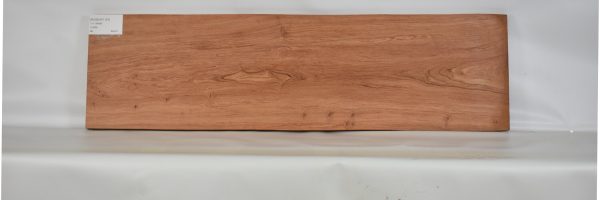 ROSEAF1197_1