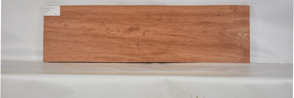 ROSEAF1197_2