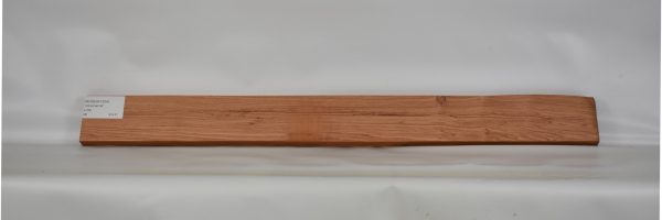 ROSEAF1204_1