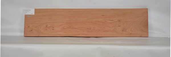 ROSEAF1207_2