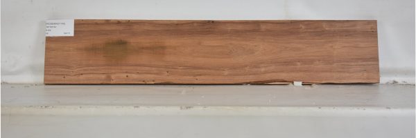 ROSEMAD1145_2