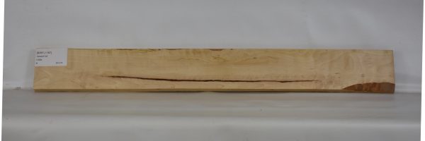 BIRFL1167_2