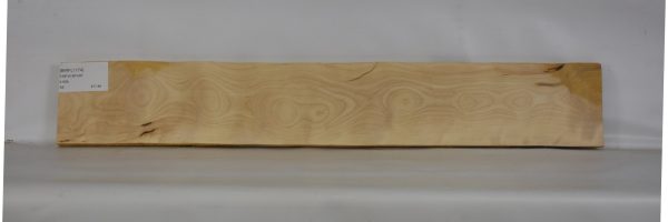 BIRFL1174_1