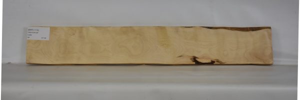 BIRFL1174_2