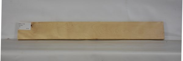 BIRFL1178_1
