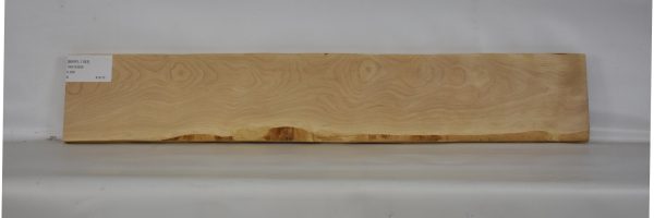BIRFL1183_1