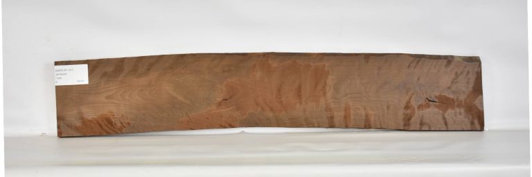 BIRFLR1147_1