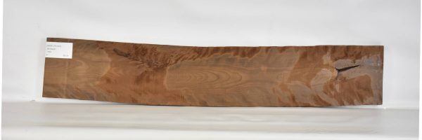 BIRFLR1147_2