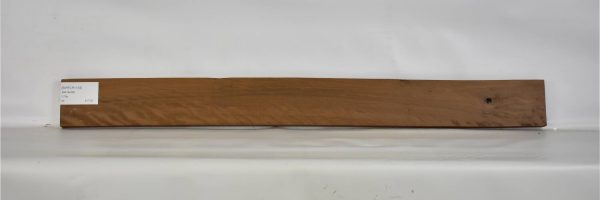 BIRFLR1153_1