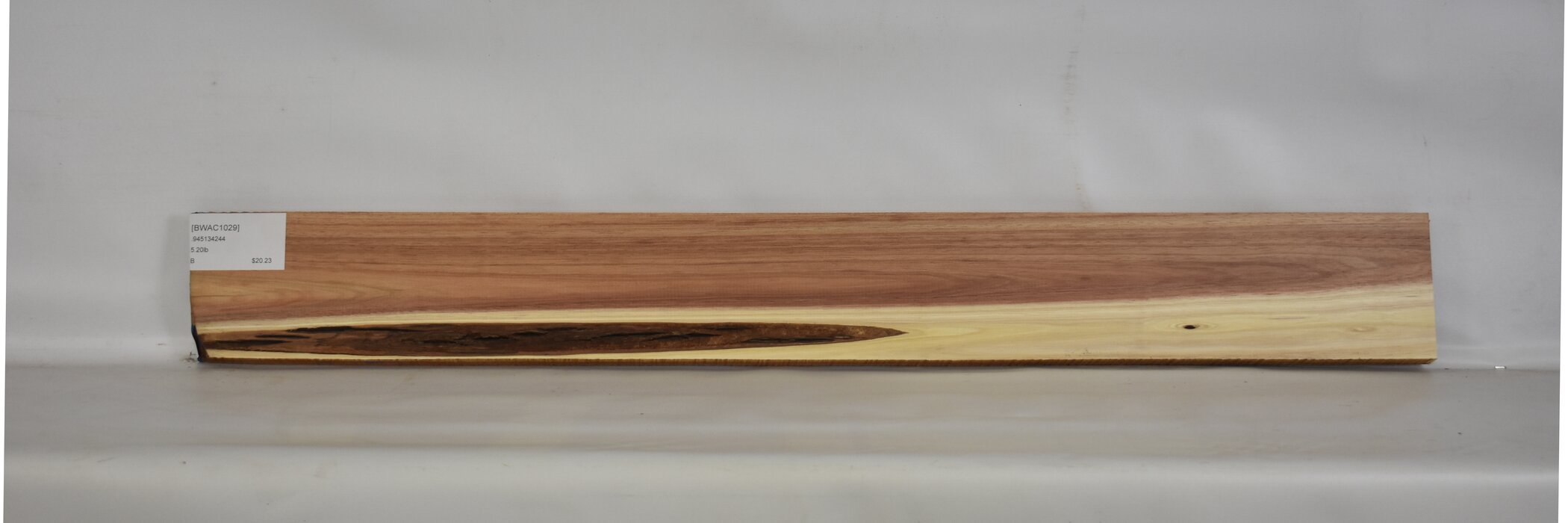 Blackwood - Acacia 2 BWAC1029_2