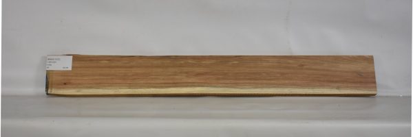 BWAC1037_2