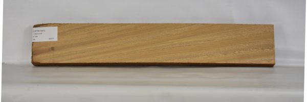 CERE1087_2