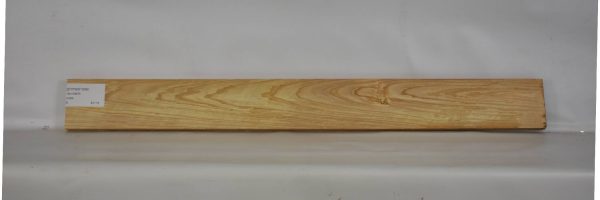 CYPSW1008_2