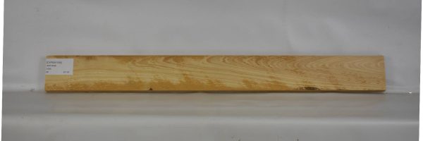 CYPSW1009_1