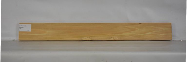 CYPSW1025_1
