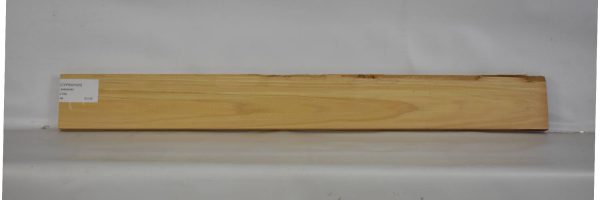CYPSW1025_2
