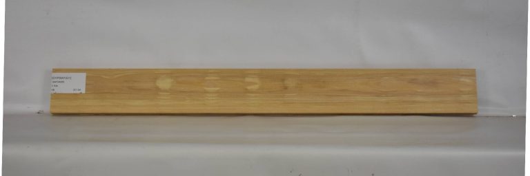 CYPSW1031_1
