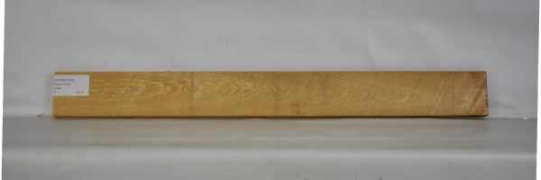 CYPSW1038_2