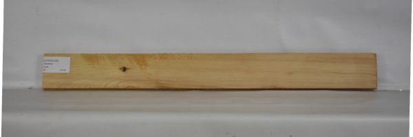 CYPSW1045_2