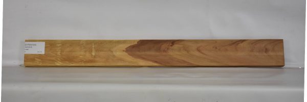 CYPSW1050_2