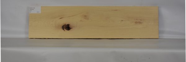 HICK1118_2