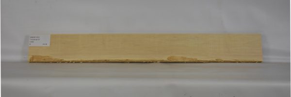 HICK1131_1