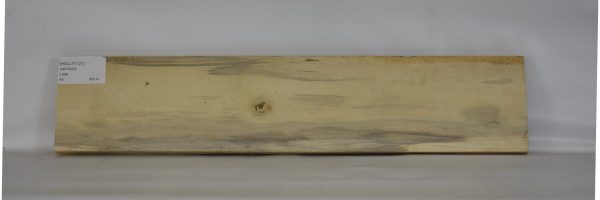 HOLLY1121_2