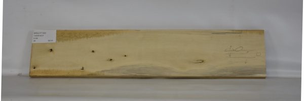 HOLLY1122_2