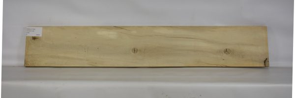 HOLLY1123_1