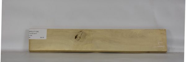 HOLLY1124_2