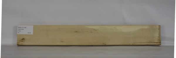 HOLLY1125_1
