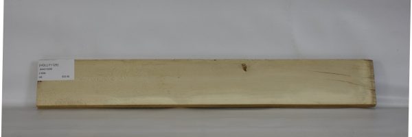 HOLLY1125_2