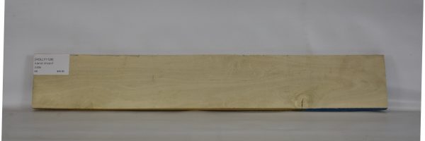 HOLLY1126_1