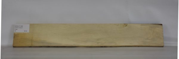 HOLLY1126_2