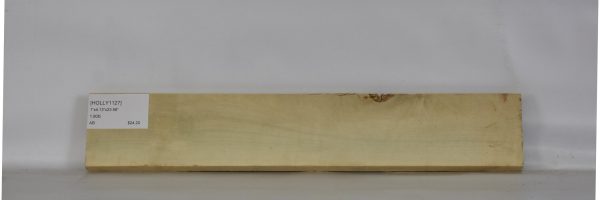 HOLLY1127_1
