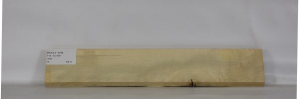 HOLLY1127_2
