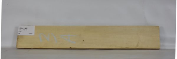 HOLLY1128_1