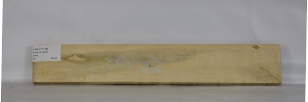 HOLLY1128_2