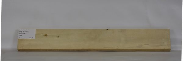 HOLLY1129_2