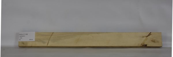 HOLLY1130_1