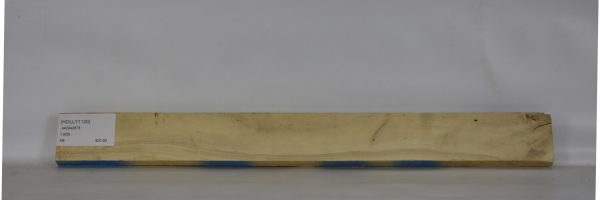 HOLLY1130_2