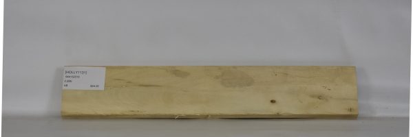 HOLLY1131_1
