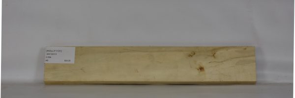HOLLY1131_2