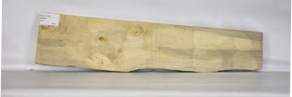 HOLLY1132_2