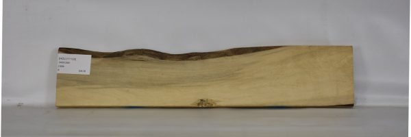 HOLLY1133_1