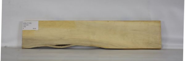 HOLLY1133_2