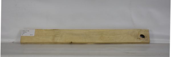 HOLLY1134_2