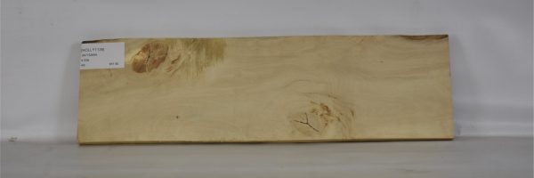 HOLLY1135_2