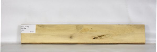 HOLLY1136_2
